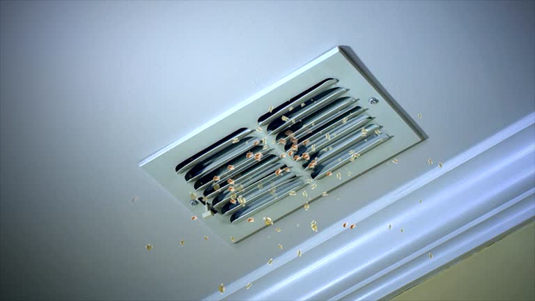 Best General Air Duct Cleaning  in Puyallup, WA