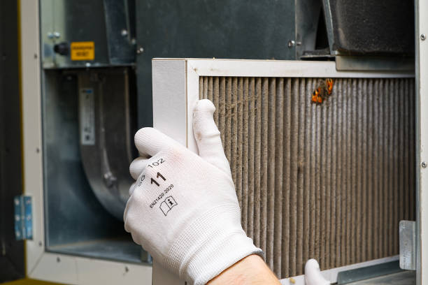 Best Duct Cleaning for Offices  in Puyallup, WA