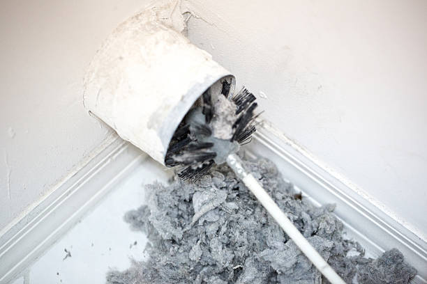 Air Duct Mold Removal in Puyallup, WA